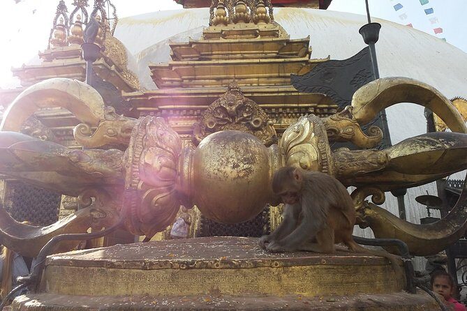 Walking tour of Kathmandu with awesome local guides - Thamel Start: Pickup That Keeps the Day on Track