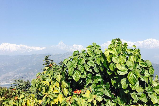 World Peace Stupa Day Hike From Pokhara - What the Walk Feels Like: Village Scenes, Birdsong, and Real Quiet